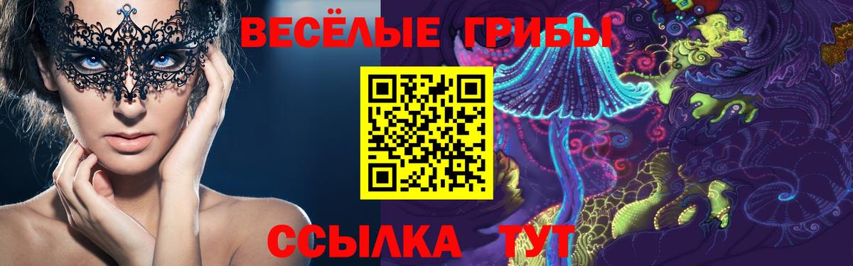 Псилоцибиновые грибы GOLDEN TEACHER  Вход с VPN  Галлюциногенные грибы прущие грибы  Реж 